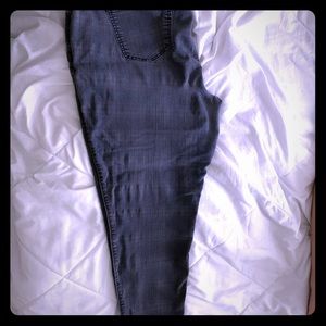 Jeans begging a torrid size 20